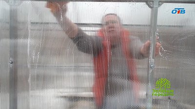 Обрабатывайте сад правильно