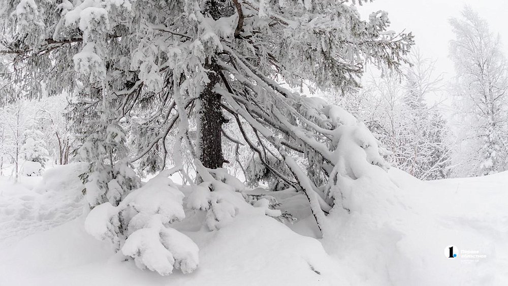 В горах Челябинской области высота снежного покрова увеличилась на 16 см за сутки
