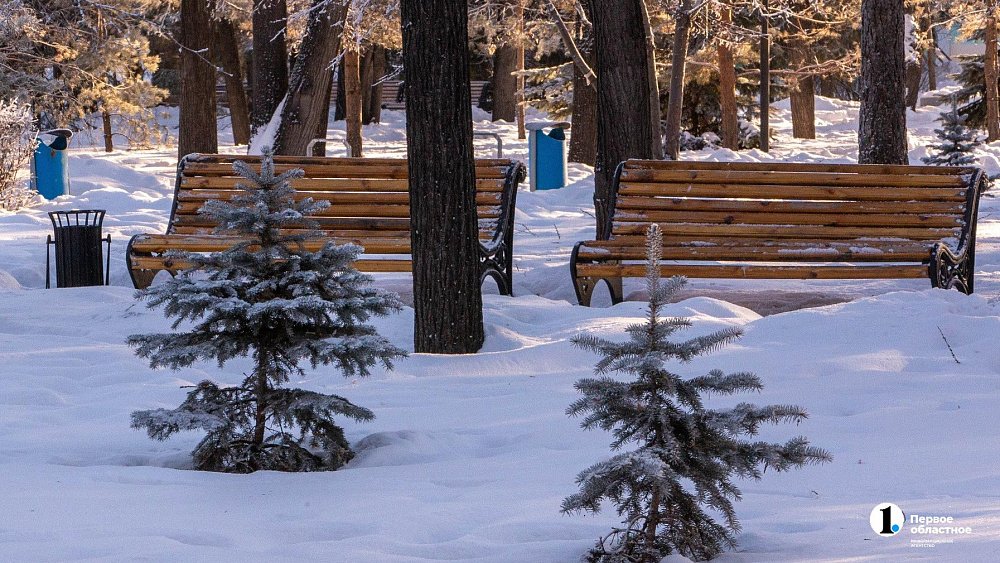 Тепло до +3°C и слабый ветер прогнозируют в Челябинской области 11 марта