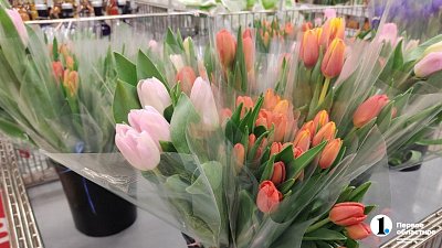 В Челябинске цены на тюльпаны после 8 Марта упали в 3 раза
