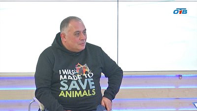 Защита от агрессии: о регистрации животных и безопасности граждан