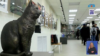 В Челябинске открылась выставка, посвященная котам
