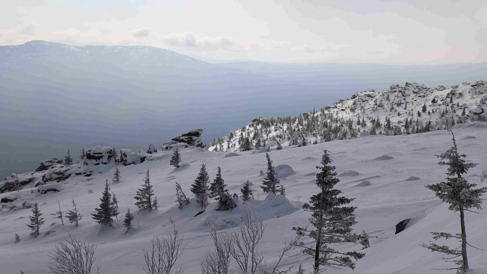 В нацпарке «Таганай» зафиксировали первые признаки весны