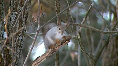 Южноуральцам не стоит ждать существенного потепления до апреля