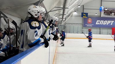 В Миассе состоялся финал Первенства Челябинской области по хоккею среди юных спортсменов