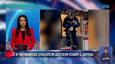 В Челябинске МЧС спасли кошку