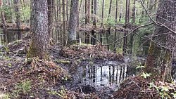 Поисковик из Челябинска отыскал четырех земляков, погибших в годы Великой Отечественной войны