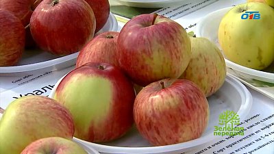 Как грамотно хранить урожай?