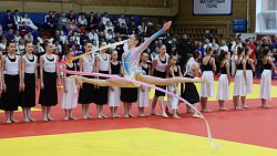 Шесть золотых медалей завоевали дзюдоисты Челябинской области на турнире памяти Сумина