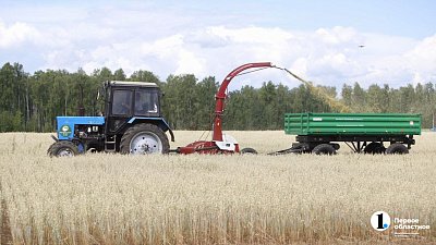 Почти втрое вырос спрос на сельскохозяйственных рабочих в Челябинской области