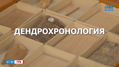 Дендрохронология в рубрике «Что-то там... логия и где-то там... ведение»