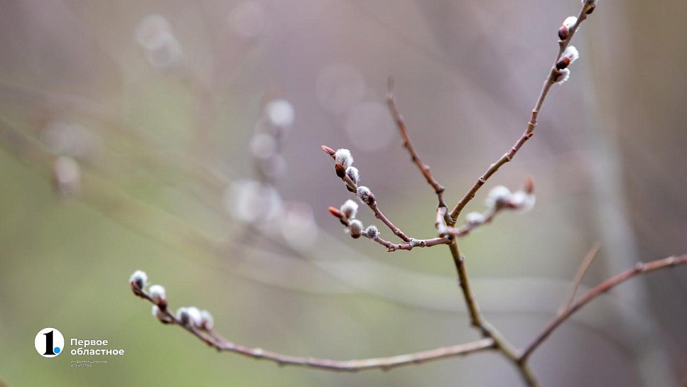 В Северном полушарии Земли официально наступает весна