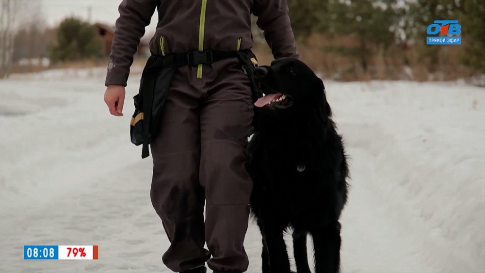 Ховаварты в рубрике «Усы, лапы и хвост»