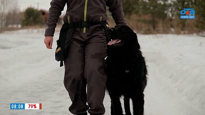 Ховаварты в рубрике «Усы, лапы и хвост»