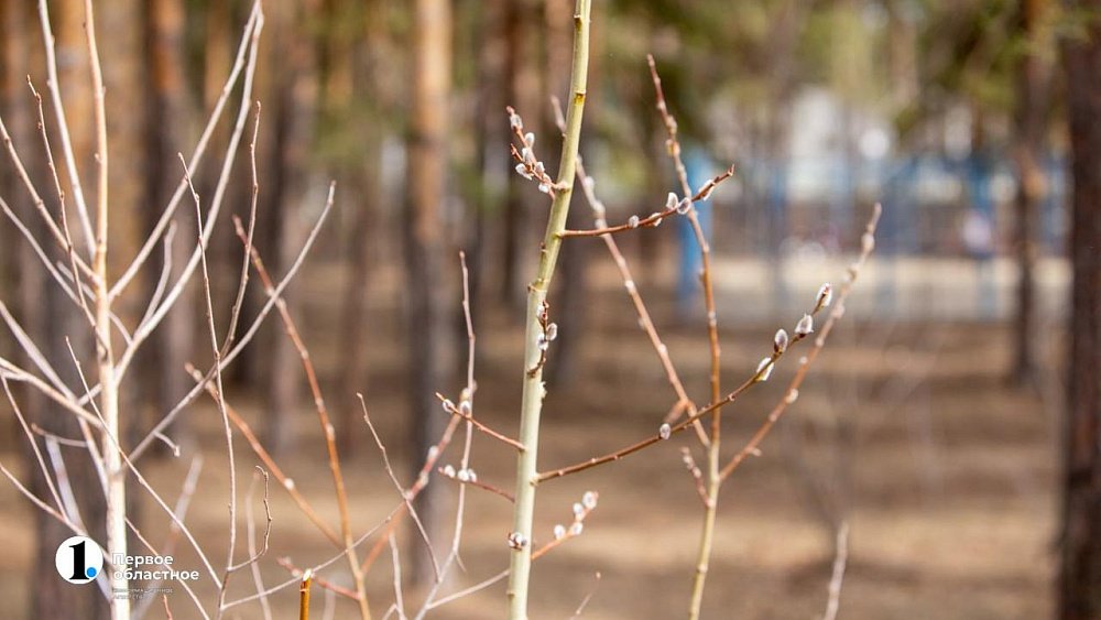 Челябинские метеорологи отмечают профессиональный праздник