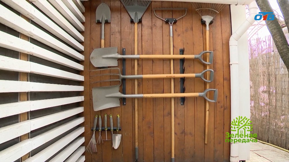 Порядок в сарае: советы от ведущего «Зеленой передачи»