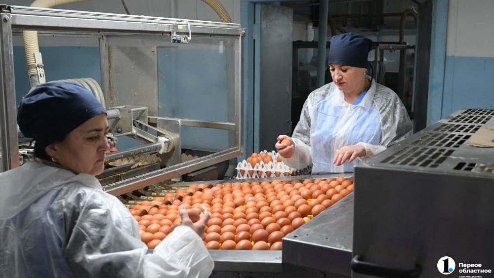 Алексей Текслер оценил модернизацию Чебаркульской птицефабрики