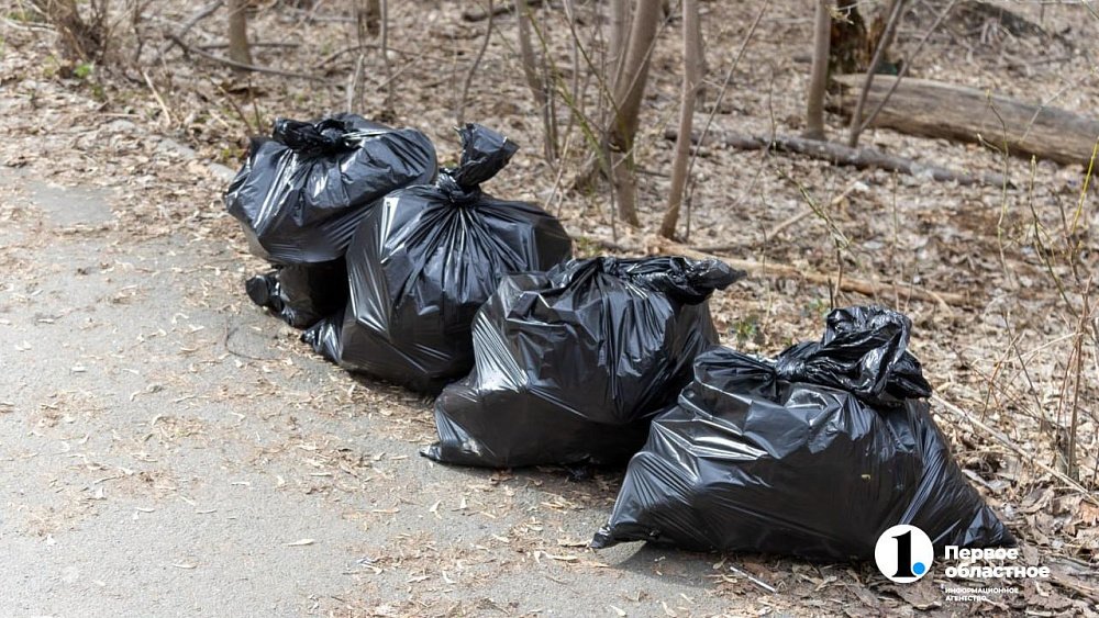 В Челябинске официально стартовали весенние субботники