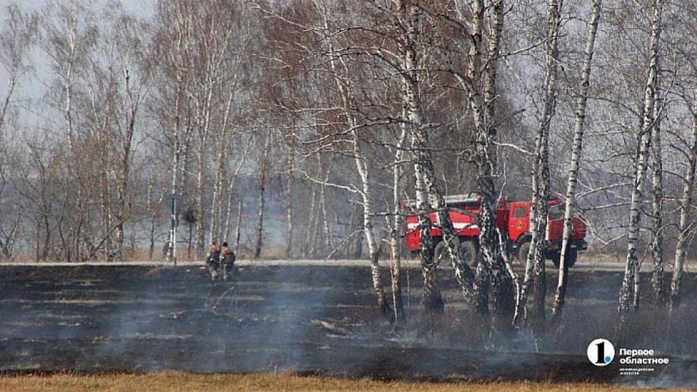 В Челябинской области огонь подобрался к населенным пунктам