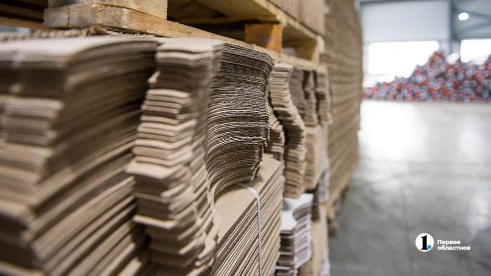 Экоинициатива челябинской гимназии получила федеральный грант