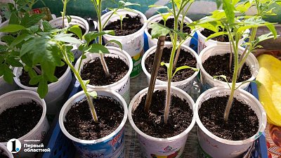 Южноуральцы массово готовятся к открытию дачного сезона