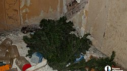 Когда-то здесь жили люди: что скрывает заброшка на Свердловском проспекте в Челябинске