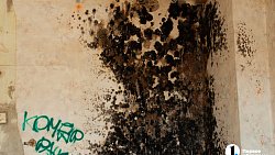 Когда-то здесь жили люди: что скрывает заброшка на Свердловском проспекте в Челябинске