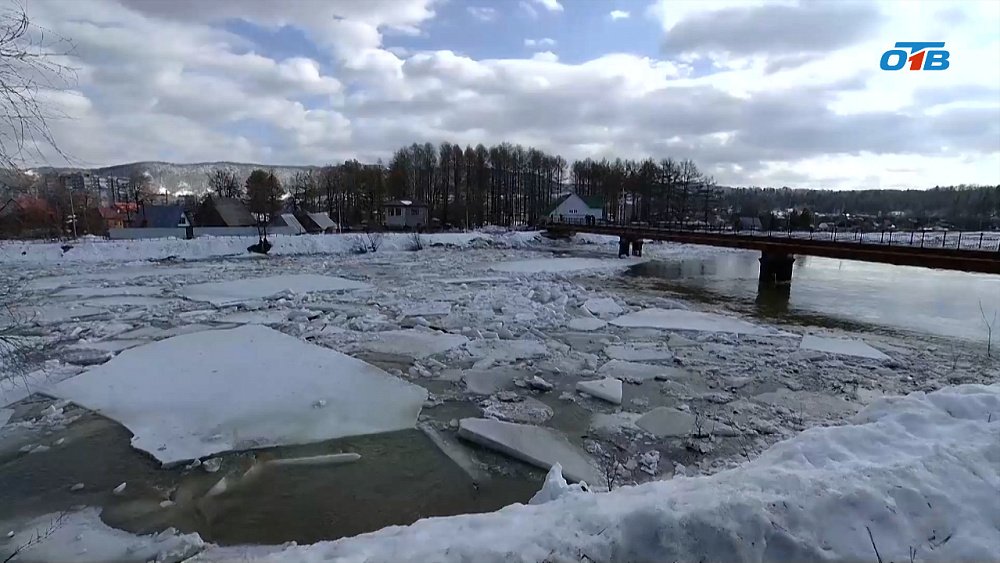 Сим выходит из-под контроля