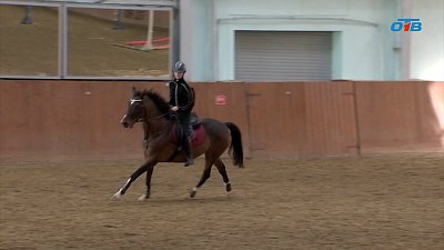 Ксения Хайрулина: Грация и триумф на пути к звездам конного спорта