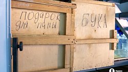 Никто по ночам не оживает: что происходит в закулисье Челябинского театра кукол