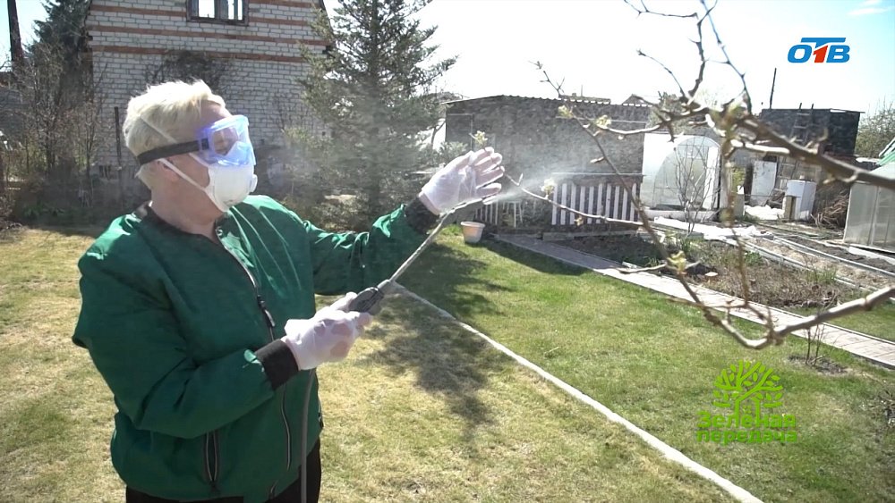 Эффективные препараты для защиты вашего сада