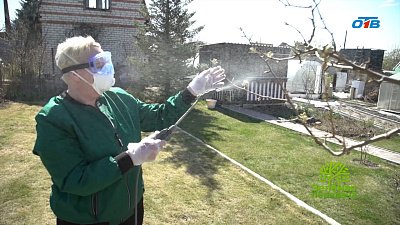 Эффективные препараты для защиты вашего сада