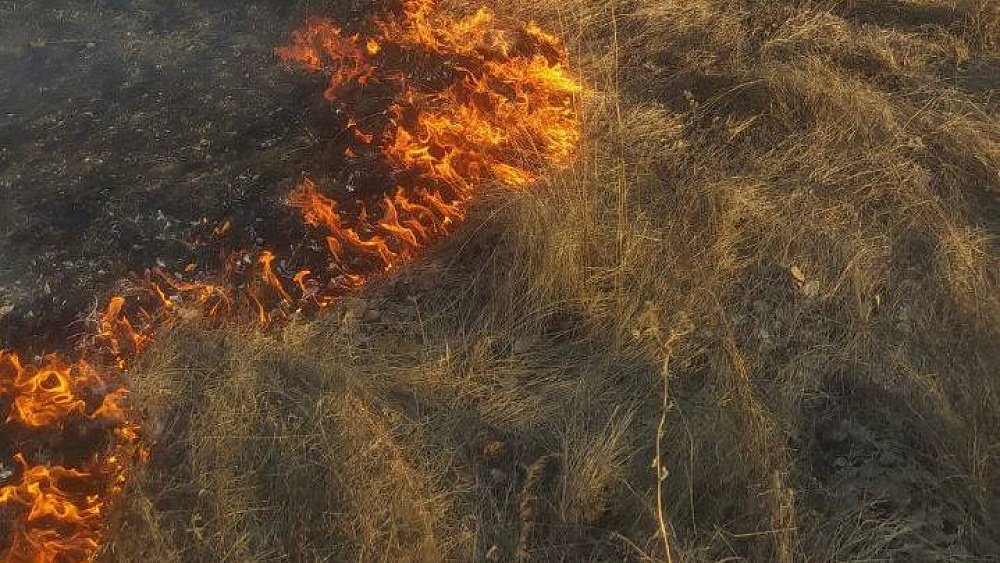 В Чебаркульском районе потушили первый в этом году лесной пожар