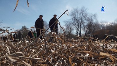 Клещи вышли на охоту: Южный Урал под угрозой укусов