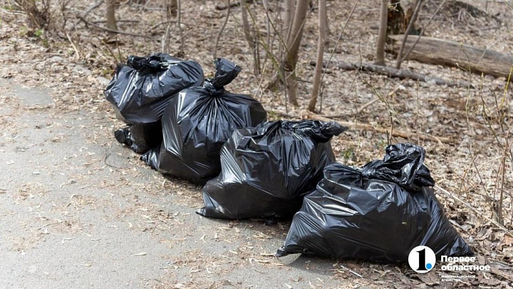 В Челябинской области мусор после субботников будут вывозить по спецграфикам