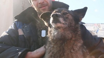 Студенты ЮУрГУ помогают приюту «Хочу домой»