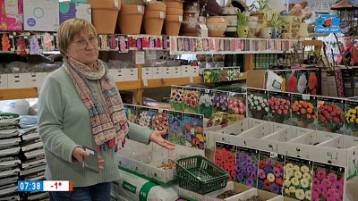 Обращаем ваше внимание на прекрасные цветы в рубрике «Руки садовода»