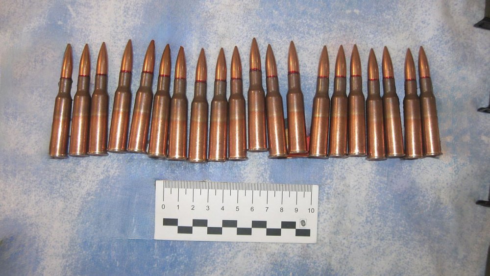 В Златоусте у индивидуального предпринимателя изъяли 20 боевых патронов