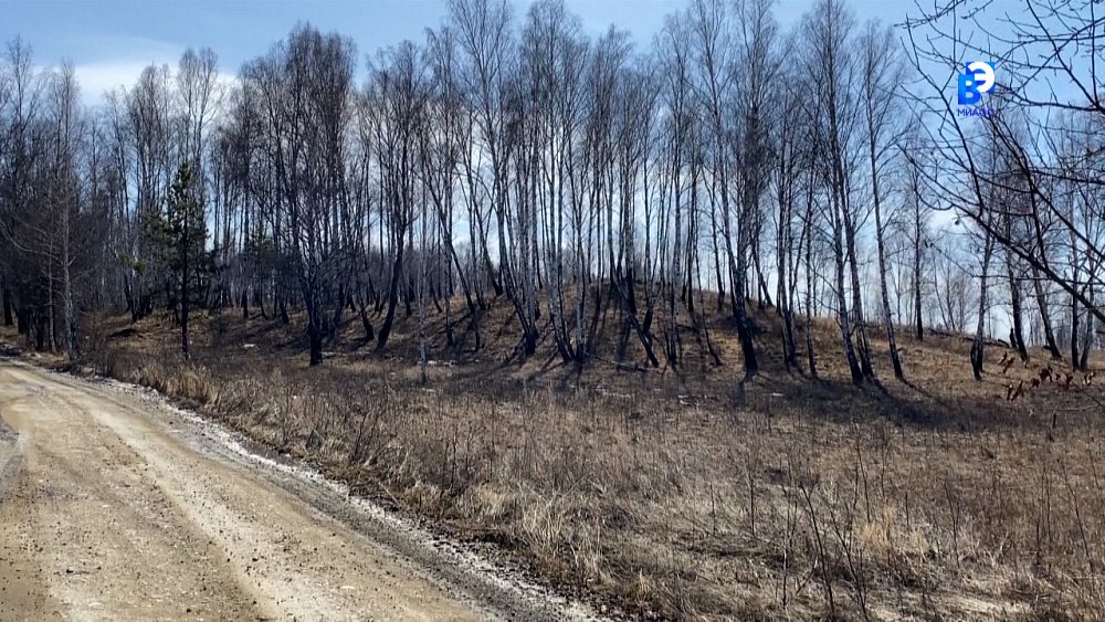 На страже безопасности: Миасс готовится к пожароопасному сезону