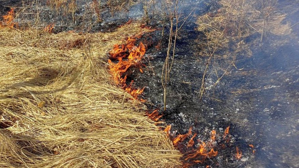 На Южном Урале за поджигателями лесов будут следить 100 видеокамер и 7 беспилотников