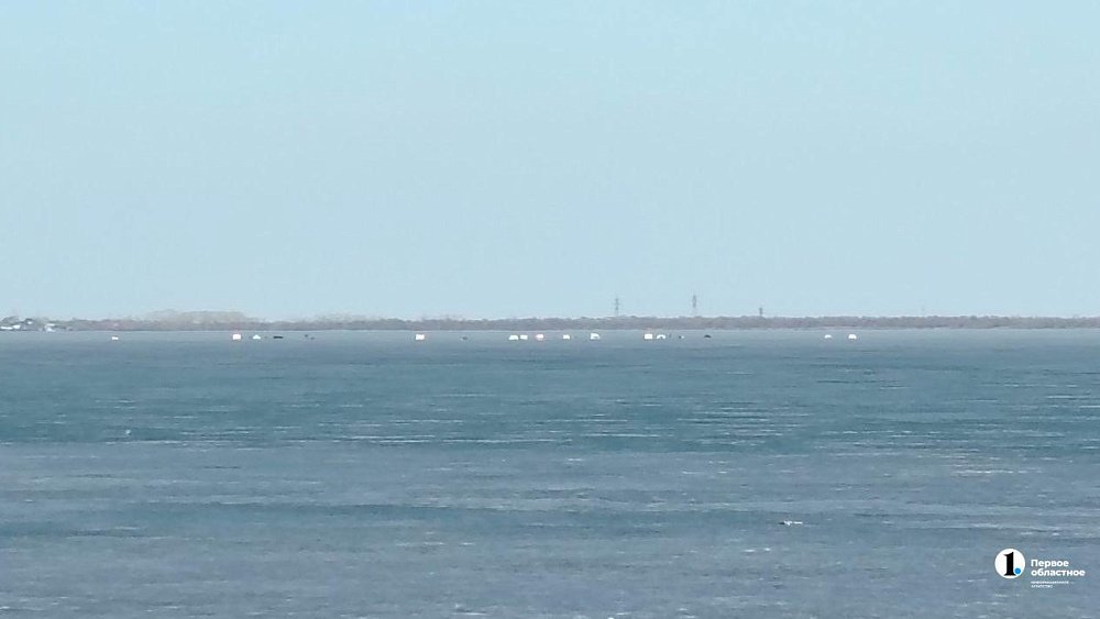 «Рыбаки ведут себя хуже детей» — Алексей Лошкин