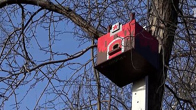 В парке Победы для птиц повесили новые скворечники 