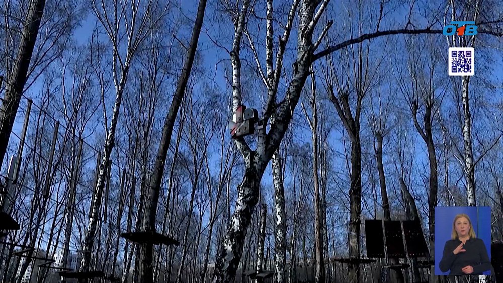 Юные архитекторы Челябинска создают дизайнерские скворечники