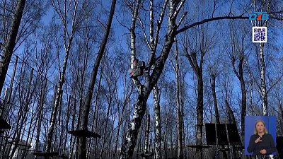 Юные архитекторы Челябинска создают дизайнерские скворечники