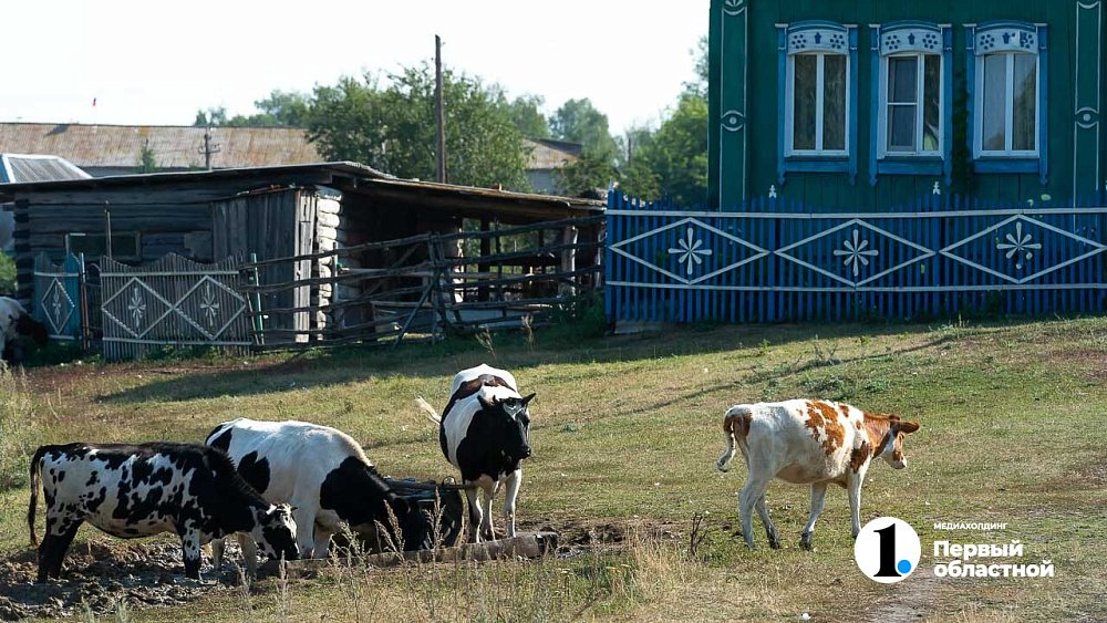 В Челябинской области среди фермеров определят получателей грантов