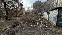 Управляющие компании Челябинска оштрафуют за мусор во дворах