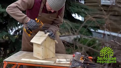 В программе «Зеленая передача» рассказали, как сделать скворечник своими руками