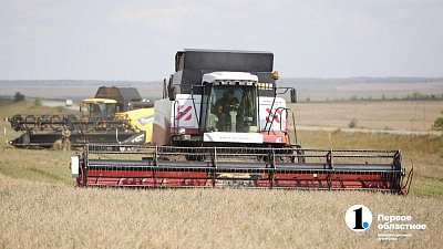 Южноуральские аграрии получили первые выплаты за страхование посевов с господдержкой