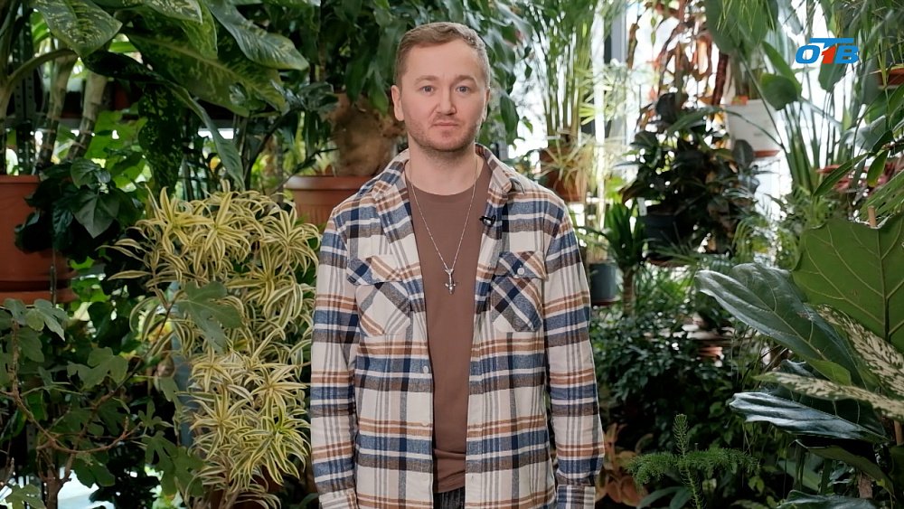 Весенний перезвон в саду: скворцы — предвестники богатого урожая