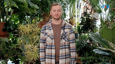 Весенний перезвон в саду: скворцы — предвестники богатого урожая